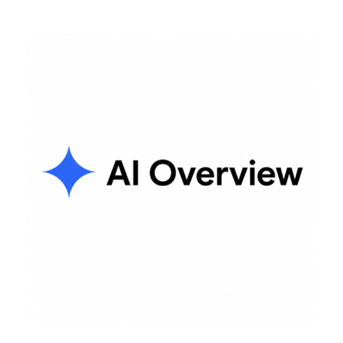 AI Overview