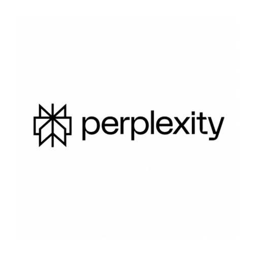 Perplexity