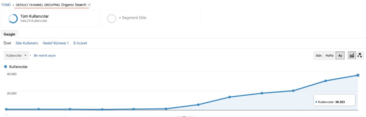 SEO yönetimiyle elde edilen çok katlı organik trafik büyümesi