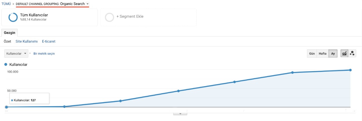 SEO çalışmalarıyla elde edilen organik trafik artışı örneği