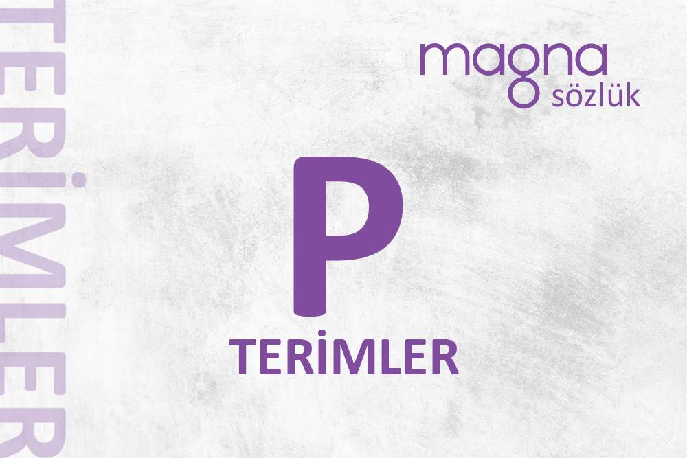 Dijital Pazarlama Terimleri – “P” Harfi İle Başlayan Terimler