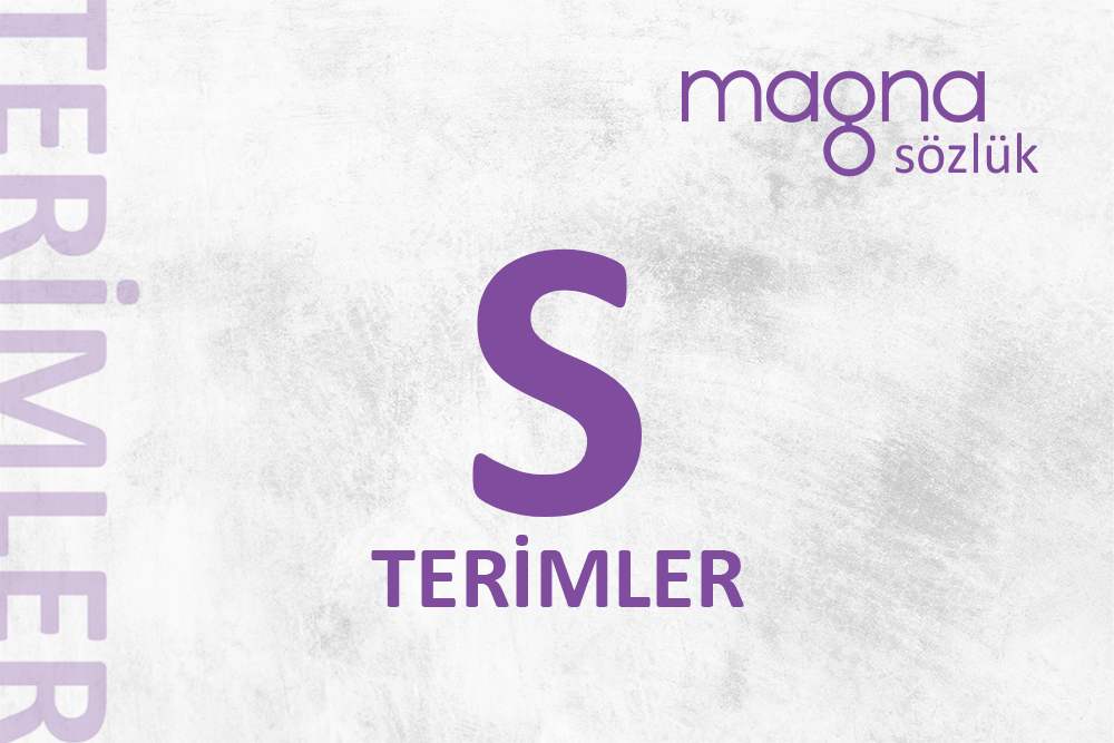 Dijital Pazarlama Terimleri – “S” Harfi İle Başlayan Terimler