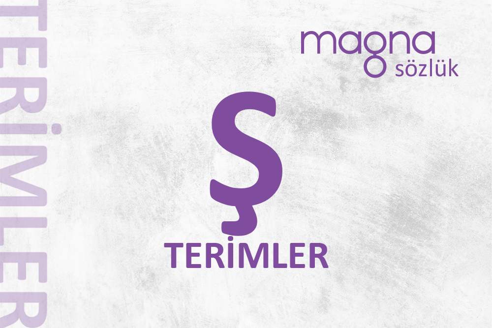 Dijital Pazarlama Terimleri – “Ş” Harfi İle Başlayan Terimler