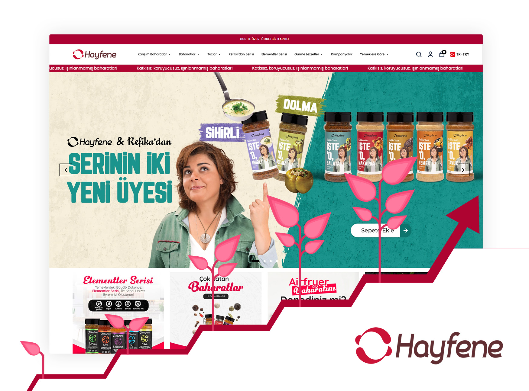 Hayfene - SEO Hizmeti