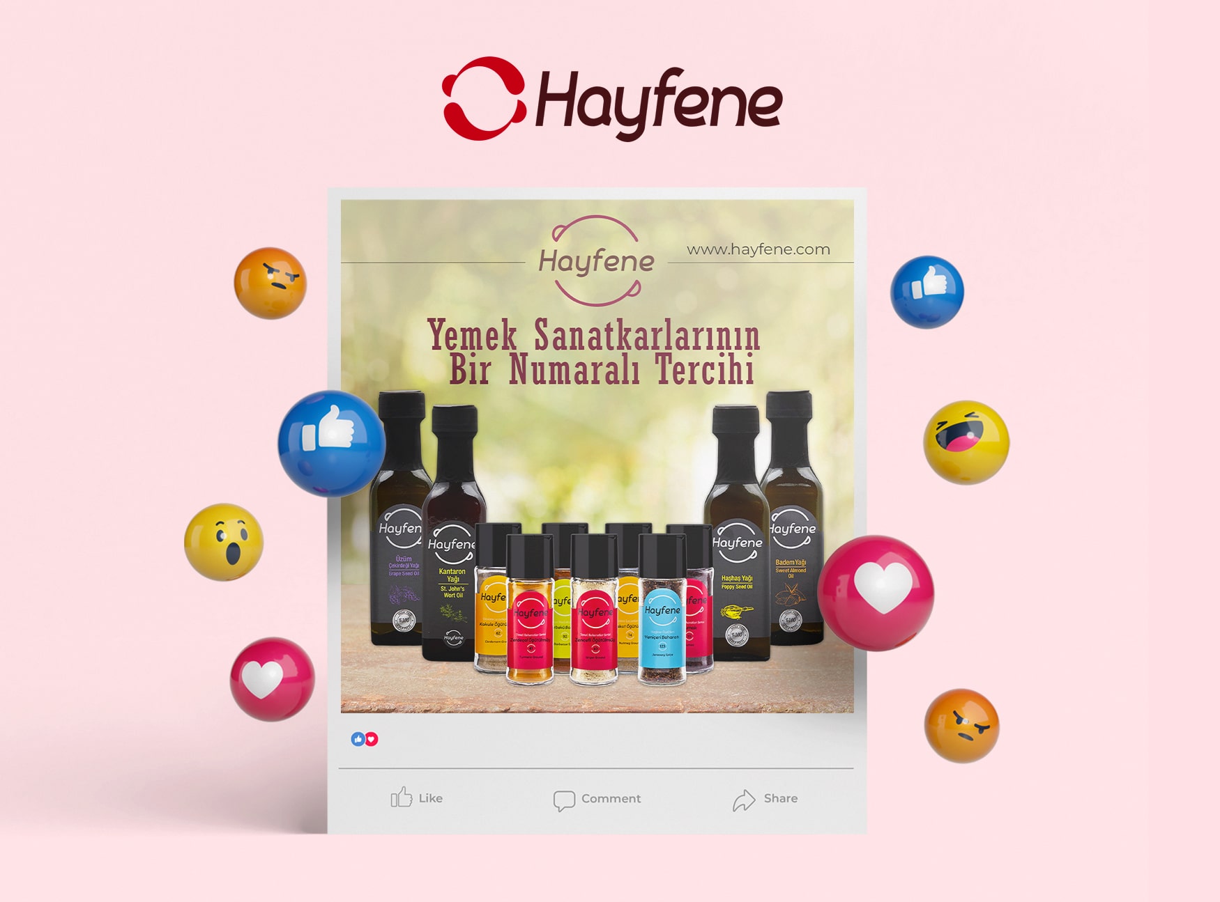 Hayfene Baharat - Sosyal Medya Yönetimi