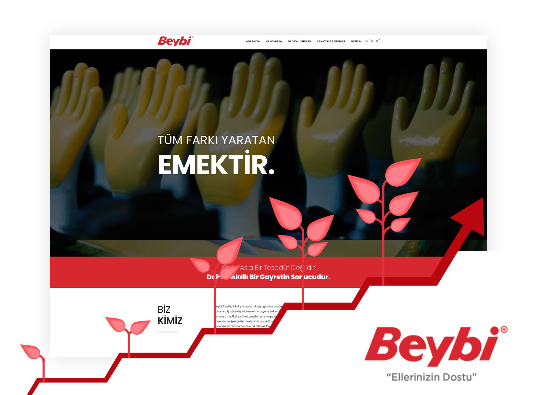 Beybi