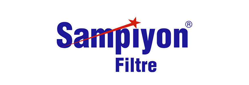 Image showcasing Şampiyon Filtre's international SEO and organic growth success story