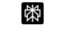 Perplexity Logo