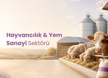 Hayvancılık & Yem Sanayi Sektörü Dijital Pazarlama Hizmetleri